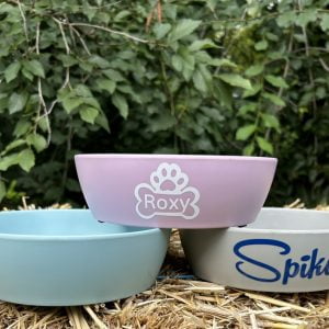 Gepersonaliseerde eetbak