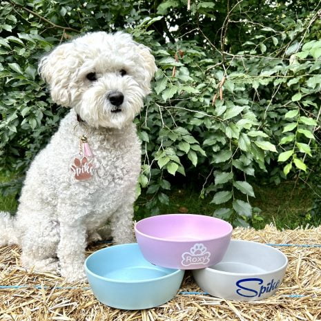 algemene foto eetbakken algemene foto eetbakken