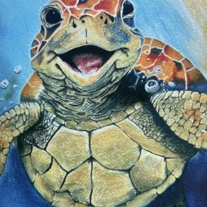 Happy Turtle